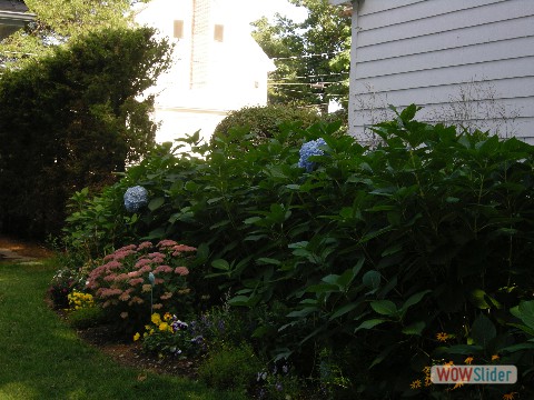 Jamaica_Plain_After_3
